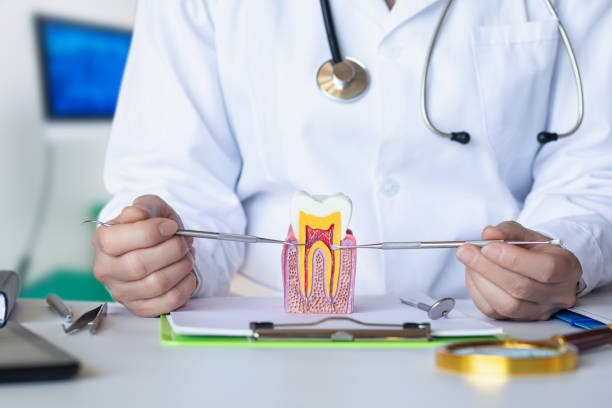 Best Broken Tooth Emergency  in Carteret, NJ